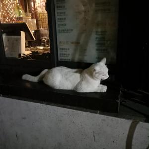 皇不见照片黄色电影大黄片黄色电影
